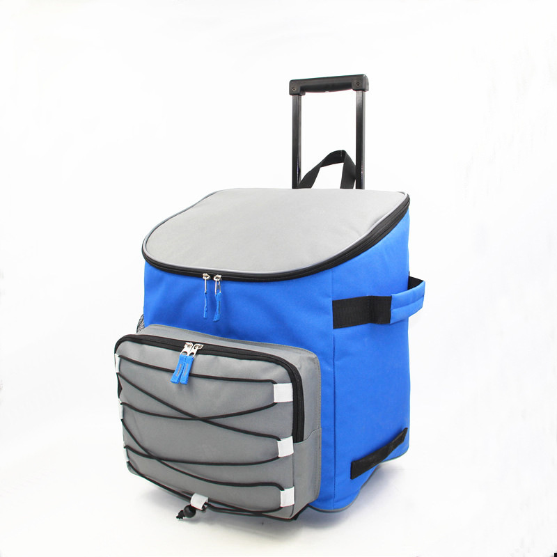 Picnic lunch cooler Bag 002